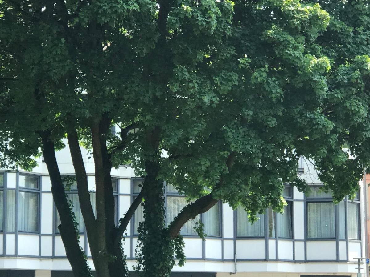 Gaestezimmer Klein Und Fein Fuer Nach Dem Wein Neumagen-Dhron Exterior foto